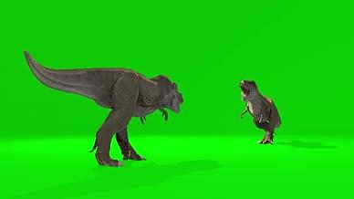 两只恐龙相互咆哮、打斗视频的预览图
